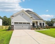 134 Collins Cove Drive, Chapin image