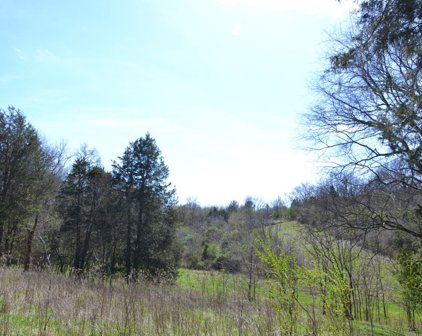 2706 E Sheepneck Rd, Culleoka