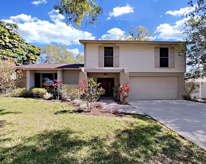 6803 Twelve Oaks Boulevard, Tampa
