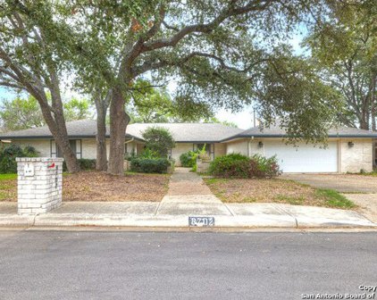 8702 Spanish Moss, San Antonio