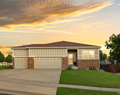 17021 Blue Indigo Lane, Parker