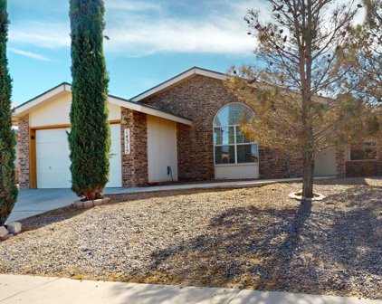 14312 Puentecillas Drive, Horizon City