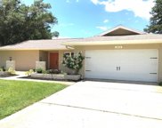 3242 Brushwood Court, Clearwater image