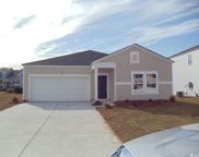 104 Water Deer Way, Surfside Beach image