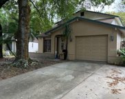 16318 Caliente Place, Tampa image