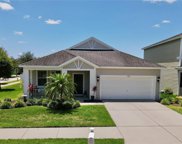 11519 Balintore Drive, Riverview image