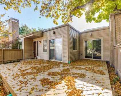 1338 Chardonnay Drive, Houston