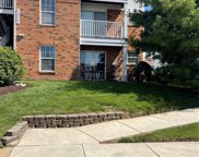 1217 Woodland Point  Drive Unit #D, Unincorporated image