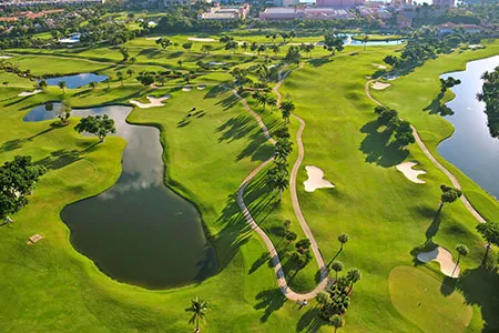 Estero Real Estate for Sale