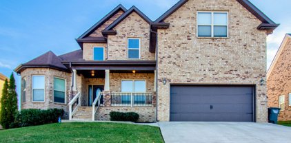 528 Larkspur Dr, Clarksville