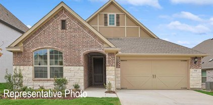 349 Corral Acres  Way, Fort Worth