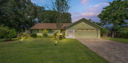 4405 Mohican Trail, Valrico