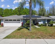 15105 Barby Avenue, Tampa image