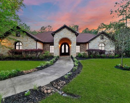 13194 Royal Hill Court, Montgomery