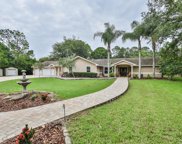 12514 Twin Branch Acres Road, Tampa image