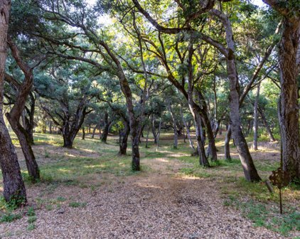 9 Garzas TRL, Carmel