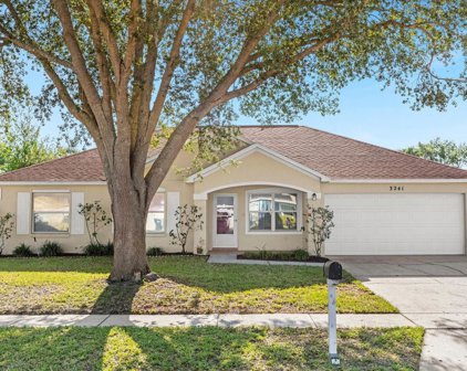 3241 Kennesaw Court, Orlando