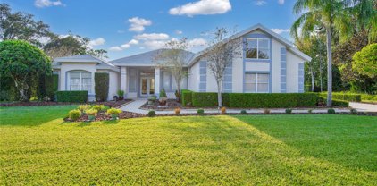 14048 Bramble Bush Court, Orlando