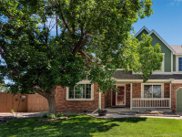 10118 Mountain Maple Court, Highlands Ranch image