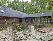1032 Point View Road, Chapin image