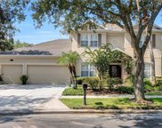 16170 Colchester Palms Drive, Tampa image