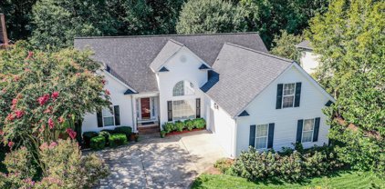 8 Dapple Gray Court, Simpsonville