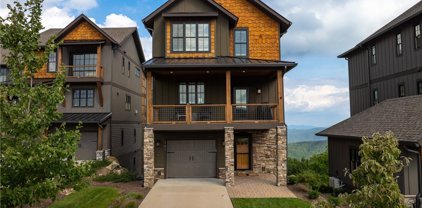 161 Silver Feather Court, Boone