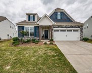 10125 Wesleyan Hall  Drive, Charlotte image