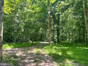 Friday Harbor Drive Parcel 636, Sykesville image