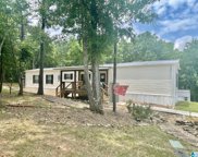 750 Putman Road, Oneonta image