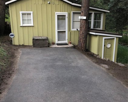 7256 S Brook Forest Road, Evergreen