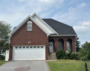 8401 Catalpa Springs Ct, Louisville image