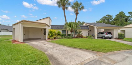 2612 Forest Run Court, Clearwater