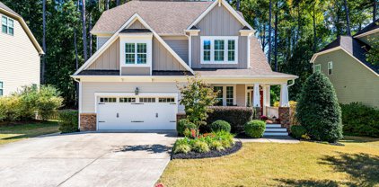 2739 Elderberry, Apex