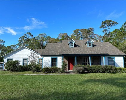 13808 Lacebark Pine Road, Orlando