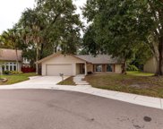 2665 Woodhall Terrace, Palm Harbor image