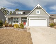 7163 Swansong Circle, Myrtle Beach image