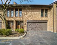1716 Wildberry Drive Unit #F, Glenview image