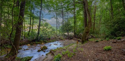 Lot 2 Wilderness Reserve Parkway, Deep Gap