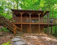 2919 PEREGRINE Way, Pigeon Forge image