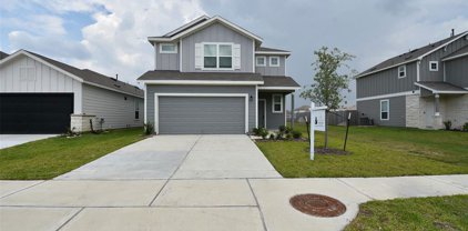 23526 Fallen Cone Street, Spring