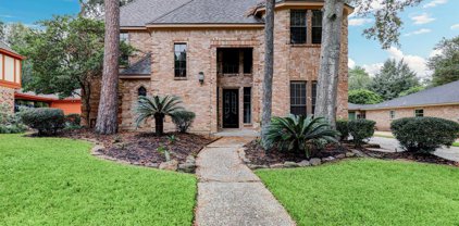 2718 Grand Falls Drive, Kingwood