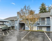 16817 Larch Way Unit #E208, Lynnwood image