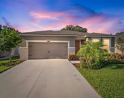 13011 Satin Lily Drive, Riverview image
