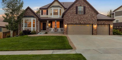 11917 S Hitching Post Trail, Parker