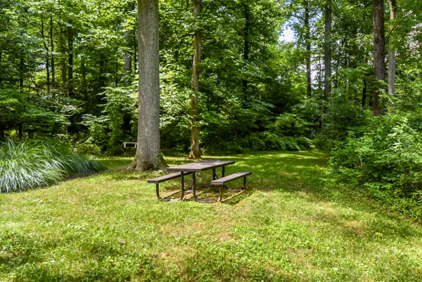 saddlebrook community picnic area
