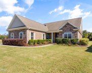 8416 Forest Crest Court, Leland image