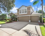 3614 Cordgrass Drive, Valrico image