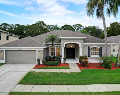 10141 Hart Branch Circle, Orlando