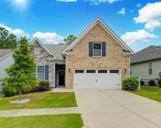 766 Carolina Aster Drive, Blythewood image